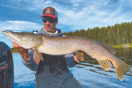 With the correct gear, the big pike of fall can be had