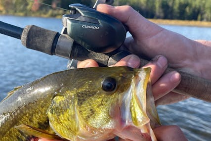 A Baitcaster That Does It All: The Shimano Curado MGL 150