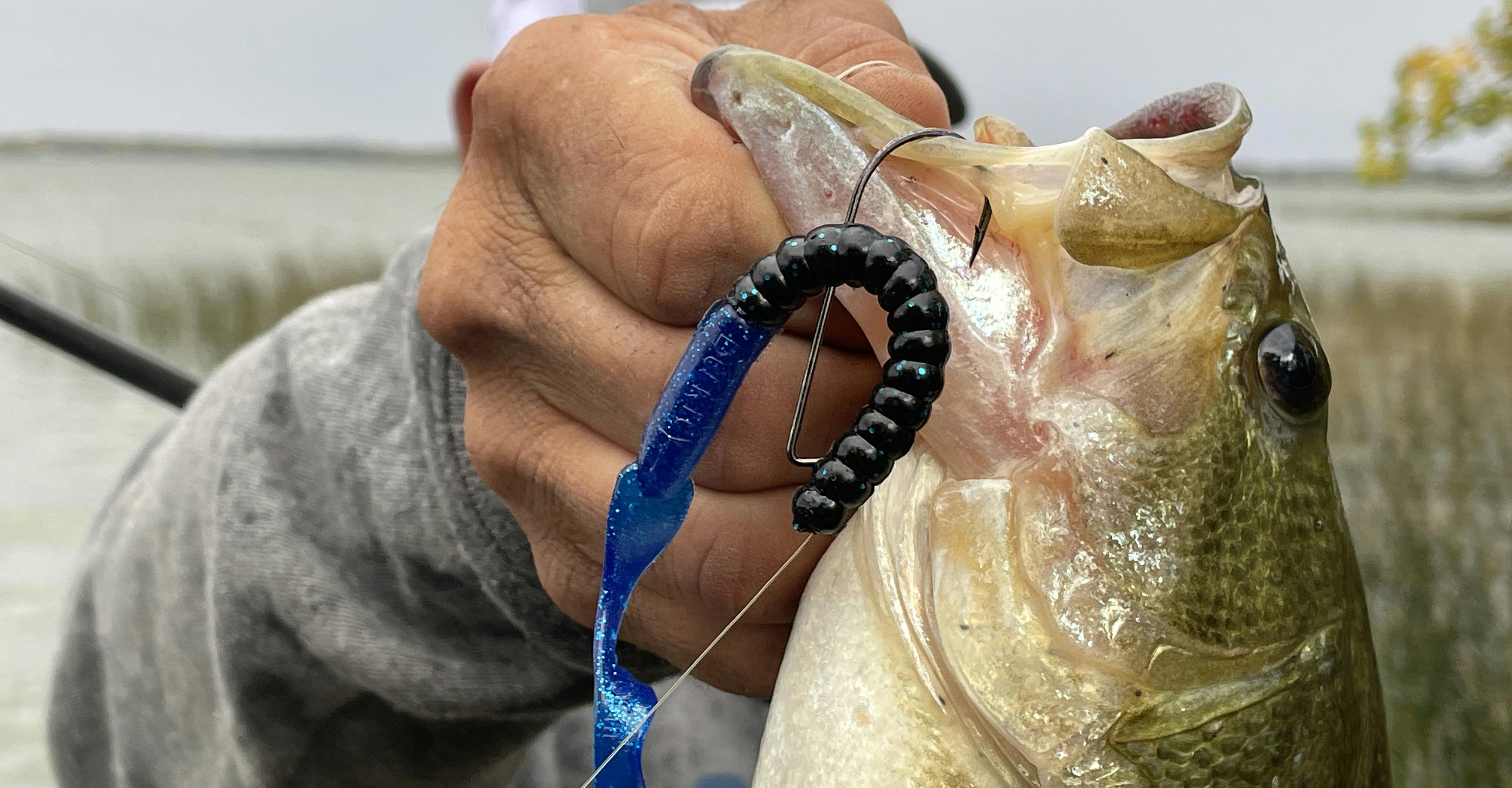 First fish ever on a jig! I'm gonna like using this guy (strike