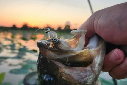 The Best Places To Go Fishing in the Houston Area