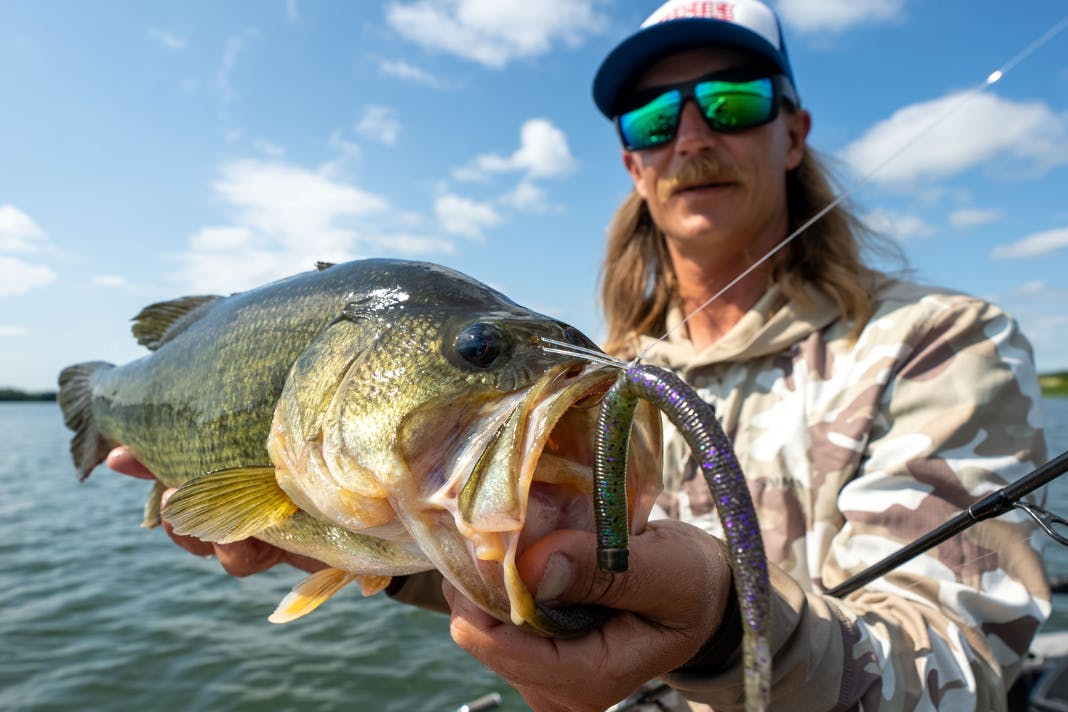 Seth Feider on Choosing the Perfect Hook for Your Neko and Wacky Rigs