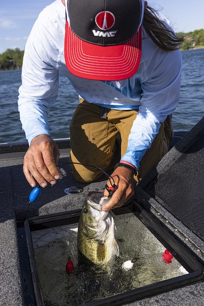 Info on Rapala Fish Scale Models | Omnia Fishing
