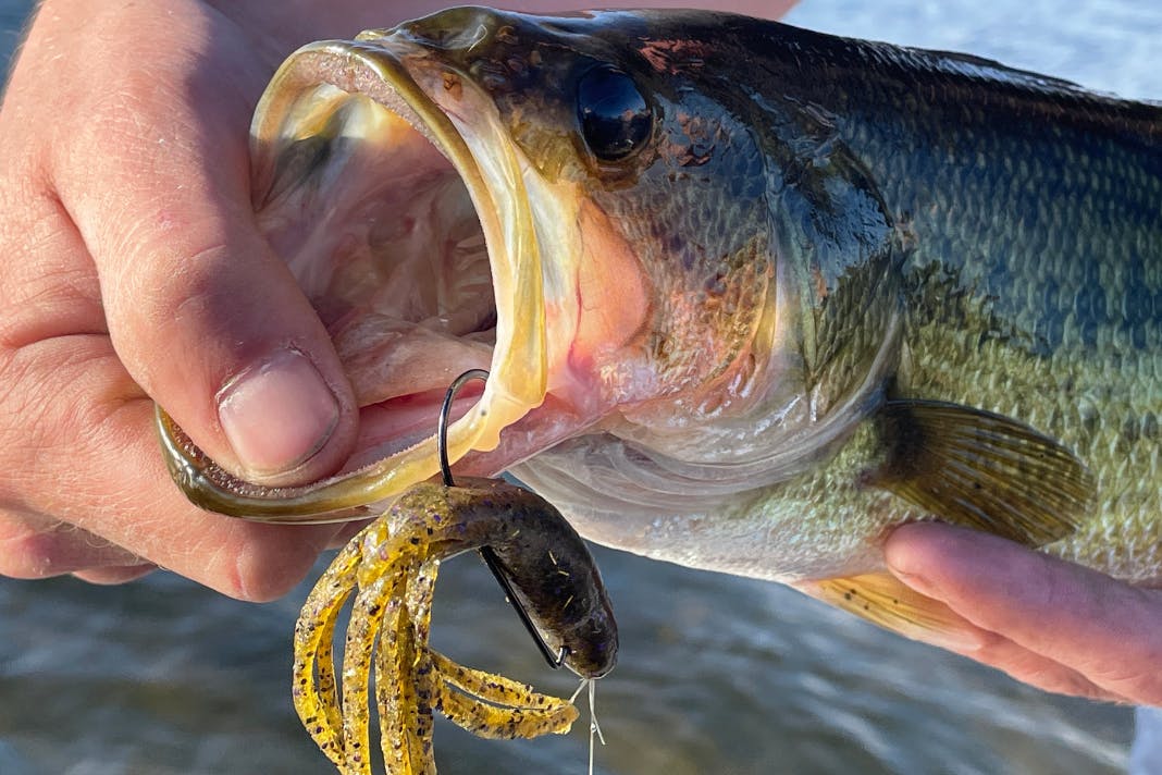 Texas-Rigs-for-Bass-Fishing-Leaders-with-Weights-Hooks-Rigged
