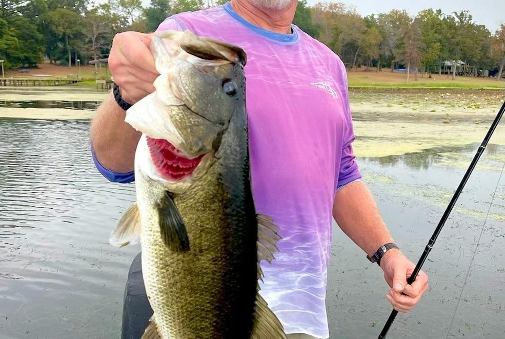 Largemouth bass catch photo