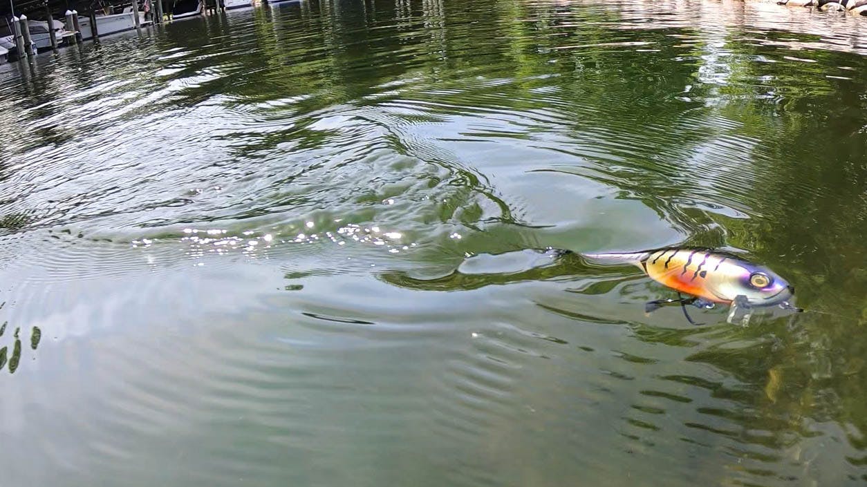 A wake bait shown in the water