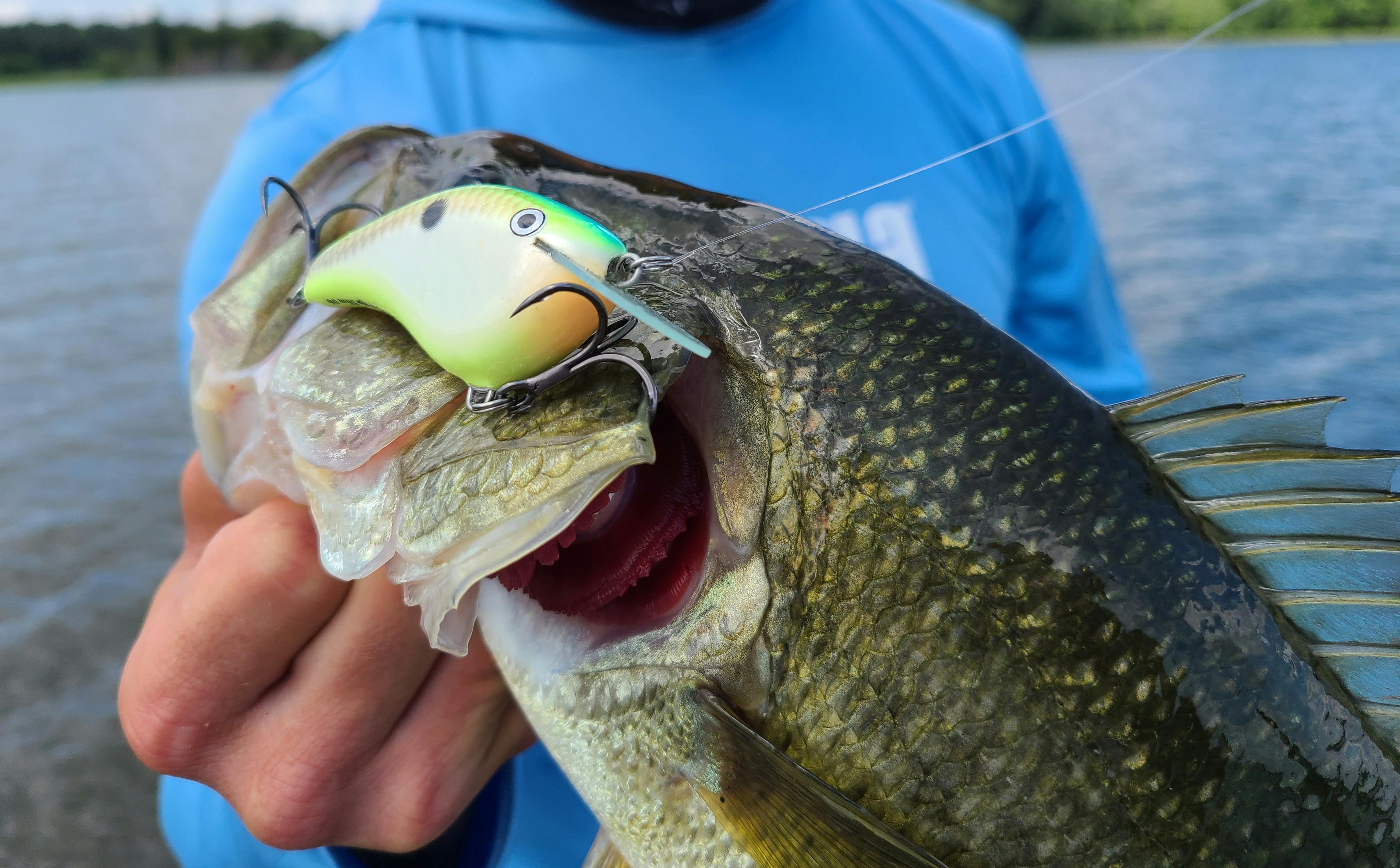 TOP 10 SUMMERTIME BASS FISHING LURES 