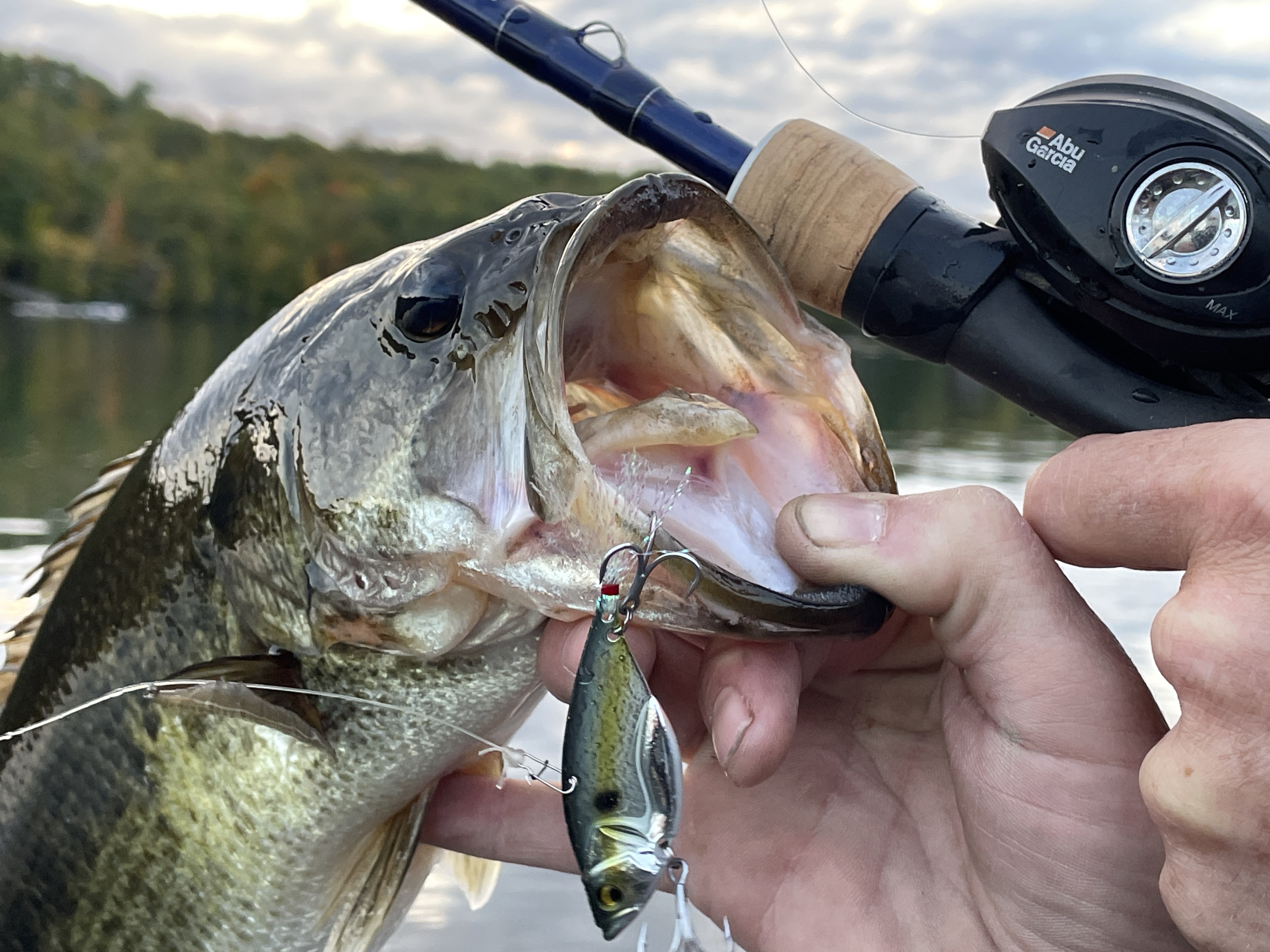 Blade Bait Pros Share How to Catch Bass and Walleyes in Cold Water