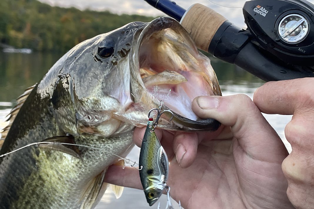 Three Best Lures For Forward-Facing Sonar  The Ultimate Bass Fishing  Resource Guide® LLC