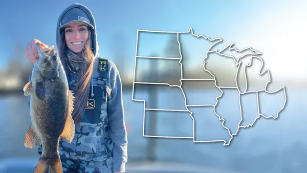 Top 10 Spring Bass Baits in the Midwest