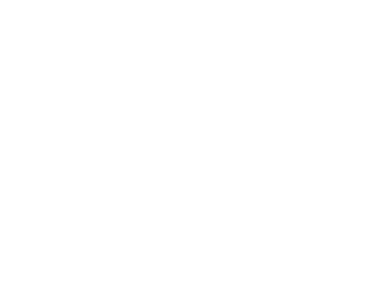 One Million Step Challenge supported by Fitbit logo