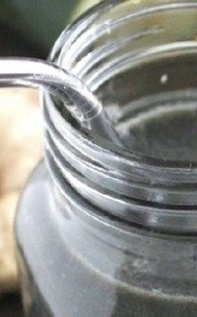 Smoothie digestion au charbon vegetal et kale