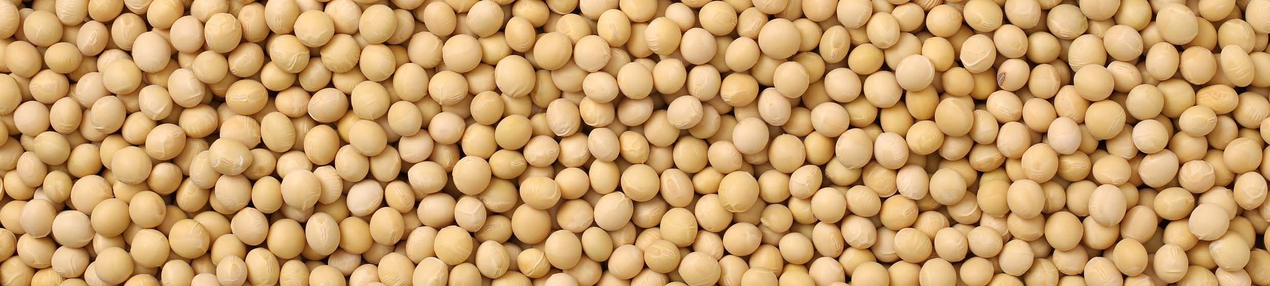 lysine