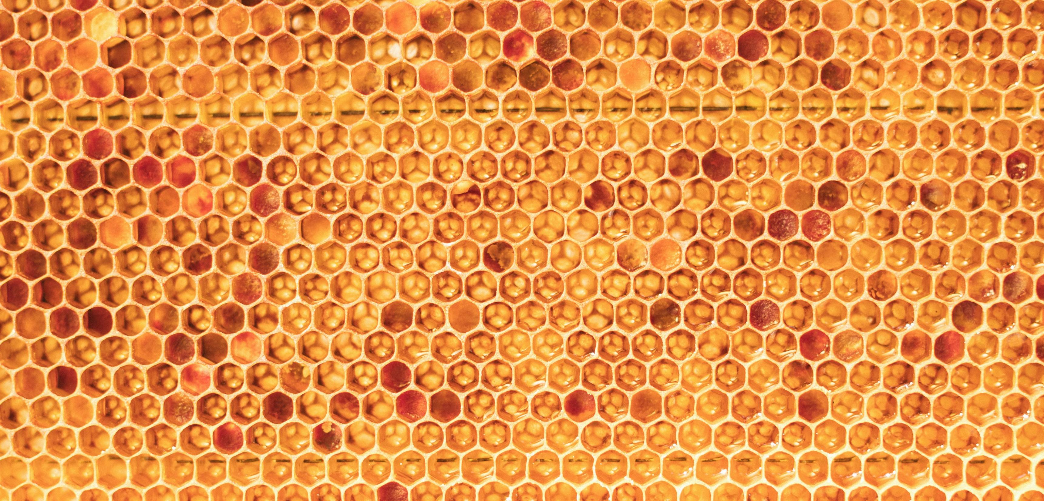Gelée royale