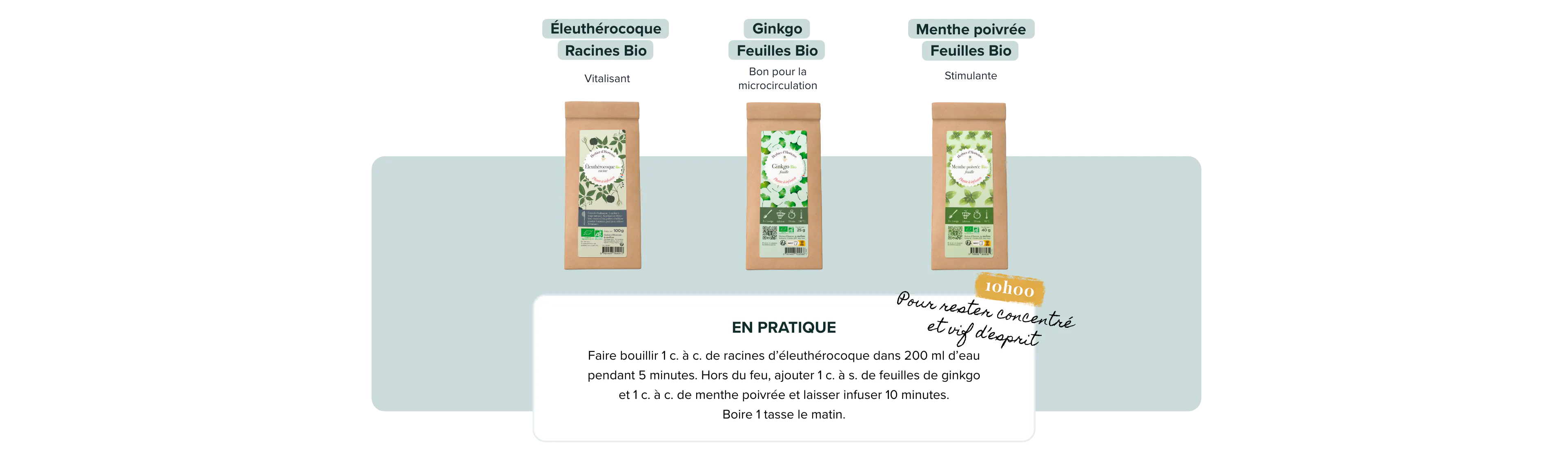 Le coup de pouce intellectuel