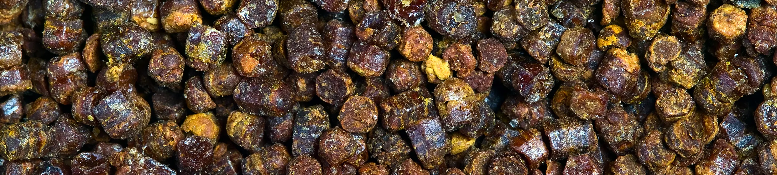 Propolis 