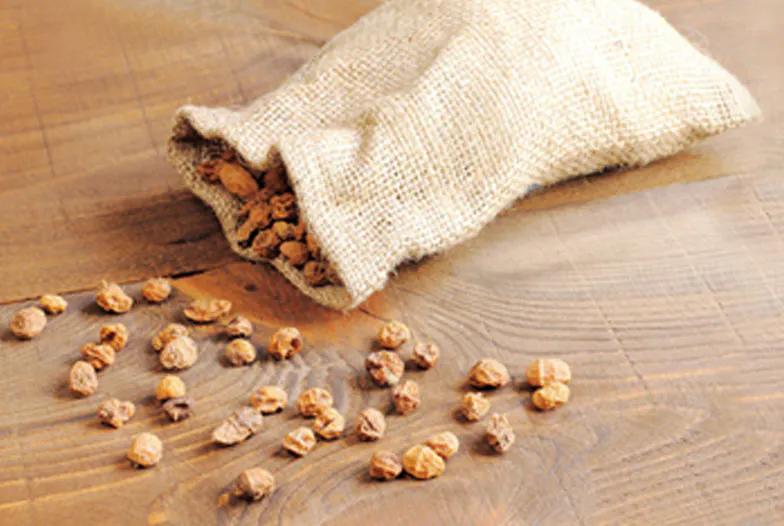 Le souchet : super-graine sans gluten