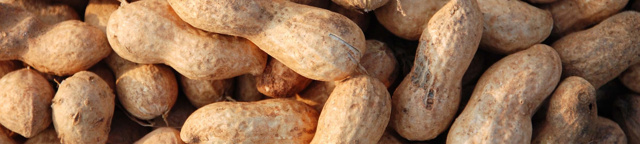 Vitamine B3