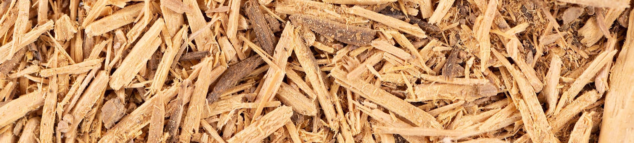 Bois bandé (muirapuama)