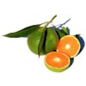 Huile essentielle Mandarine verte Bio 