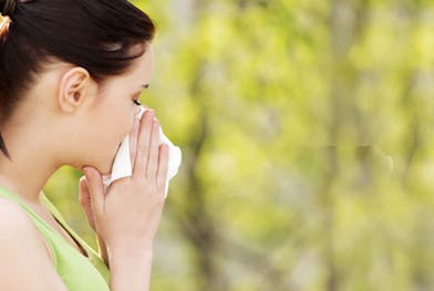Allergies printanières : le calendrier des pollens et des solutions