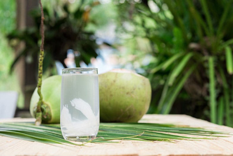Eau de coco : la source tropicale désaltérante