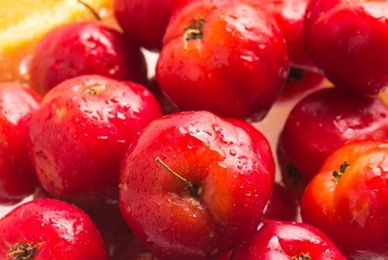 Guide d'achat : acérola, camu-camu, vitamine C