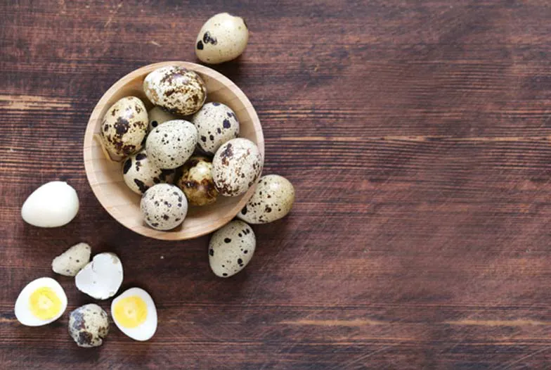 Oeufs de caille : soutiens naturels contre les allergies