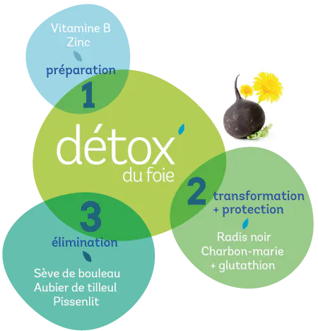 Comment réaliser une cure détox en 3 étapes ?
