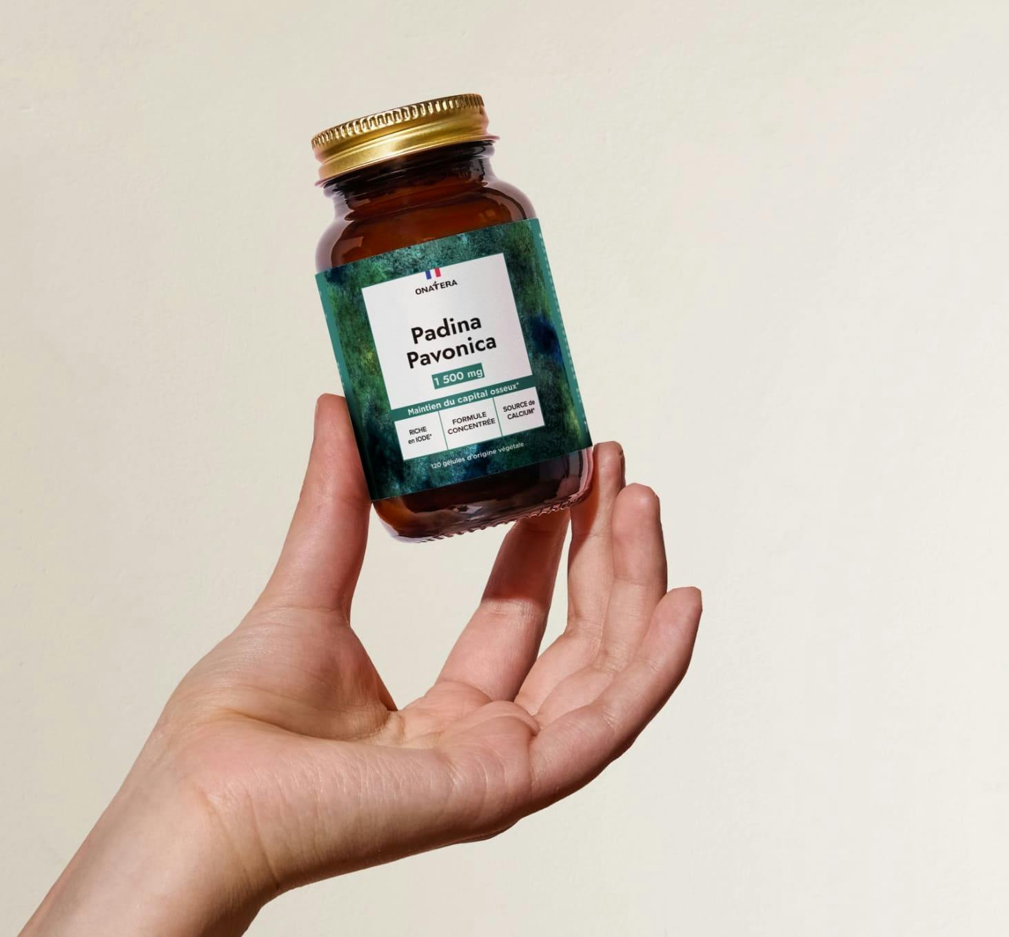 Padina pavonica - Onatera