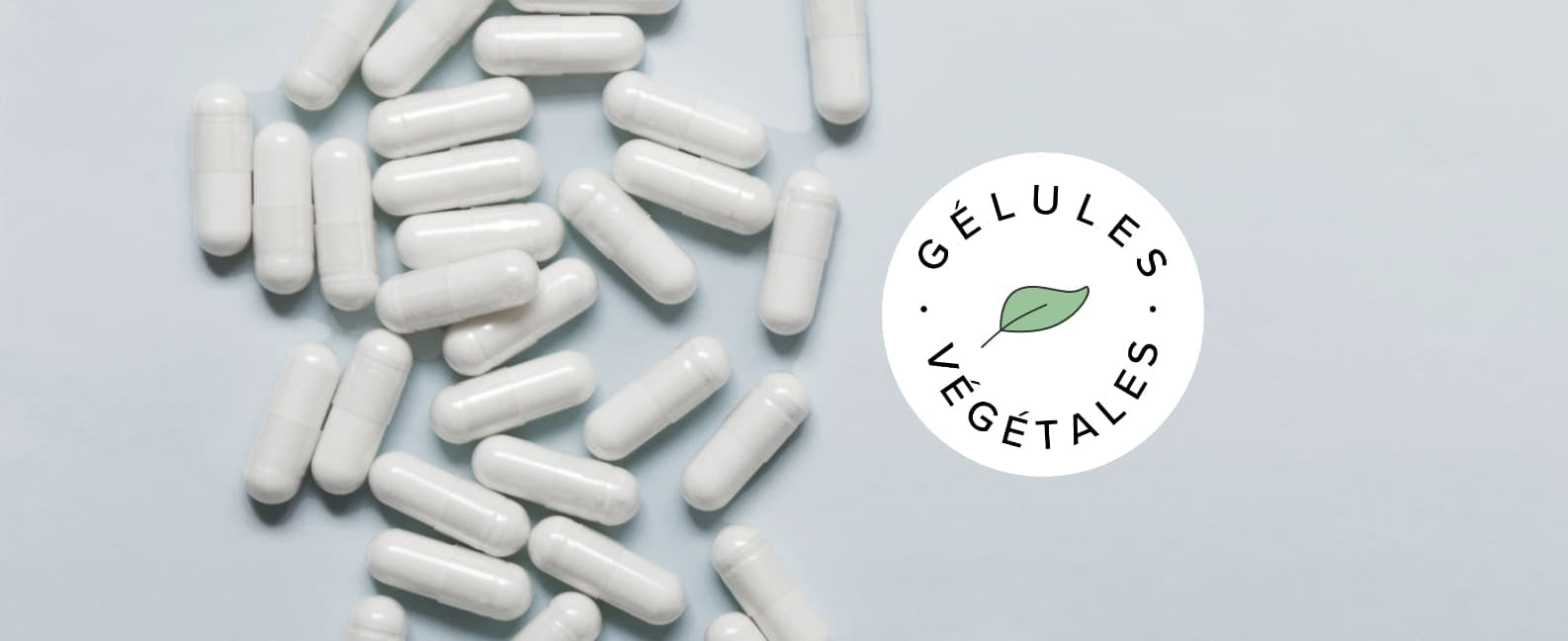 Complexe probiotique intestin sensible