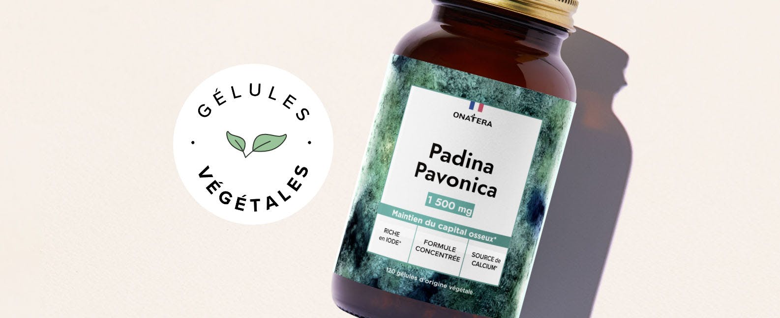 Padina pavonica - Onatera