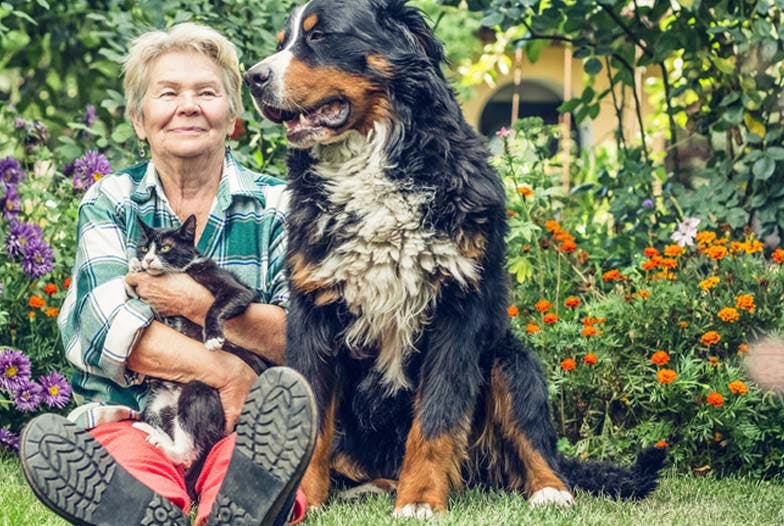 Quelle naturopathie pour nos animaux ?