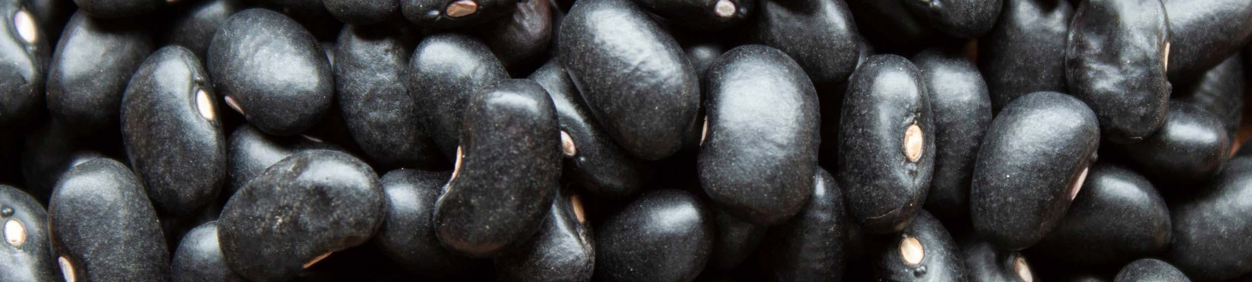 5-HTP