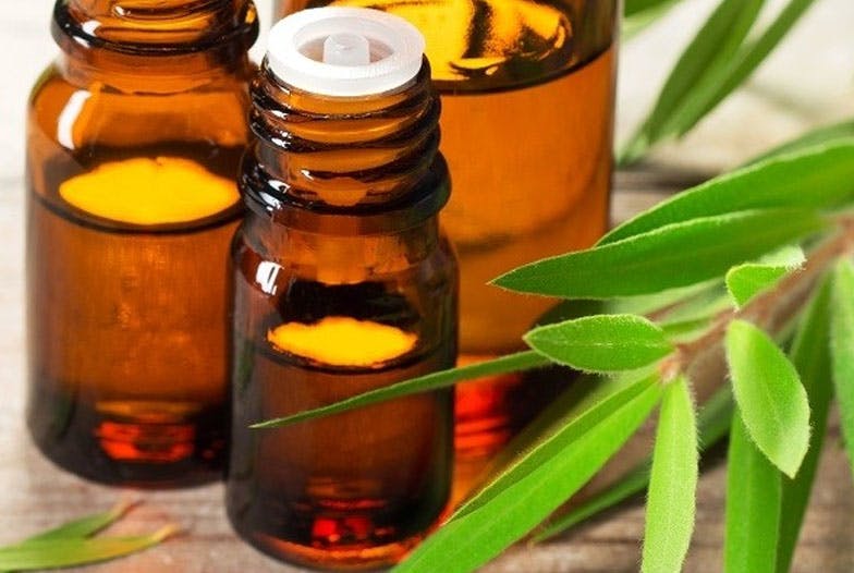 Comment utiliser les huiles essentielles contre les boutons ?