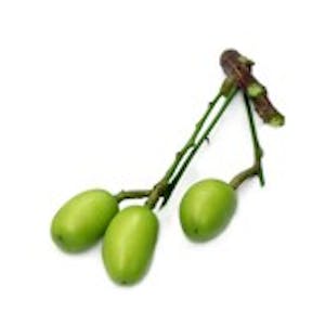 Huile végétale Neem Bio
