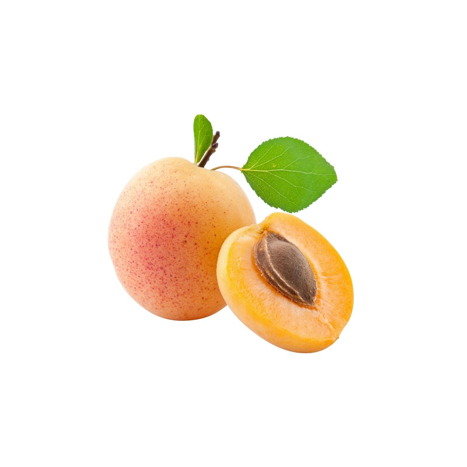 Huile végétale Noyau d'abricot Bio