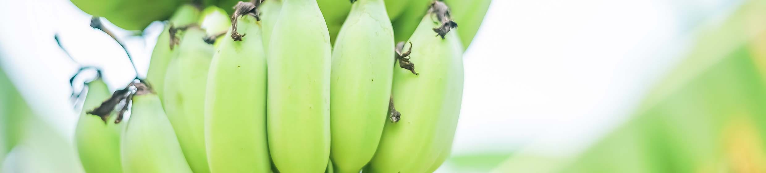 Potassium