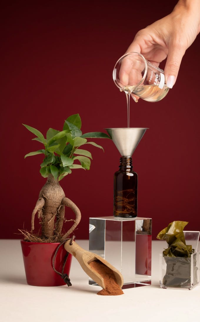 Concentré Tenseur Acide Hyaluronique et Repulp’age