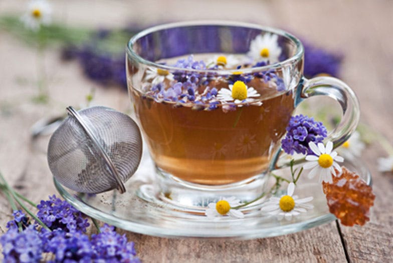 Nos infusions détente pour une rentrée sans stress