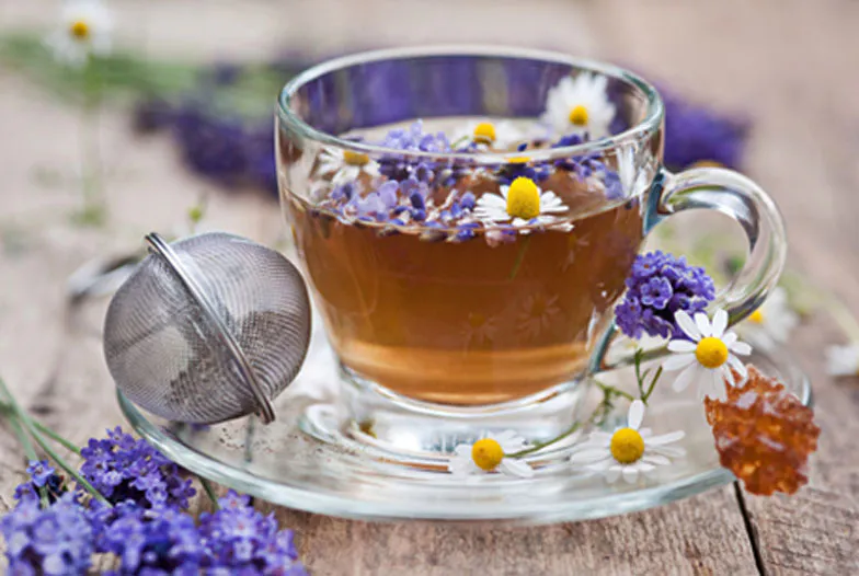 Nos infusions détente pour une rentrée sans stress