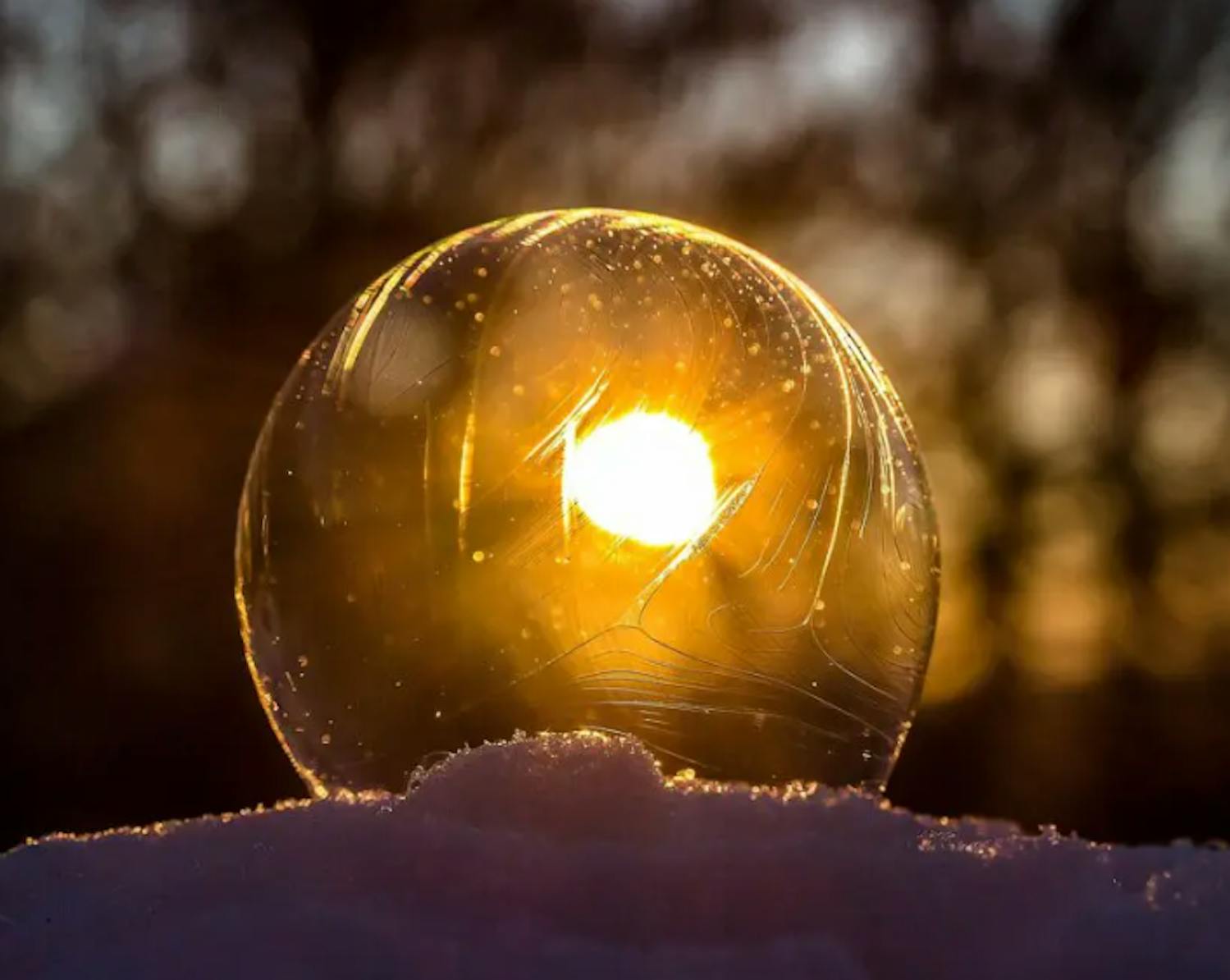 Can You Write Off Crypto Losses from Celsius and Voyager on Your Taxes?