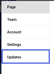 Website menu showing the options for Page, Team, Account, Settings, Updates