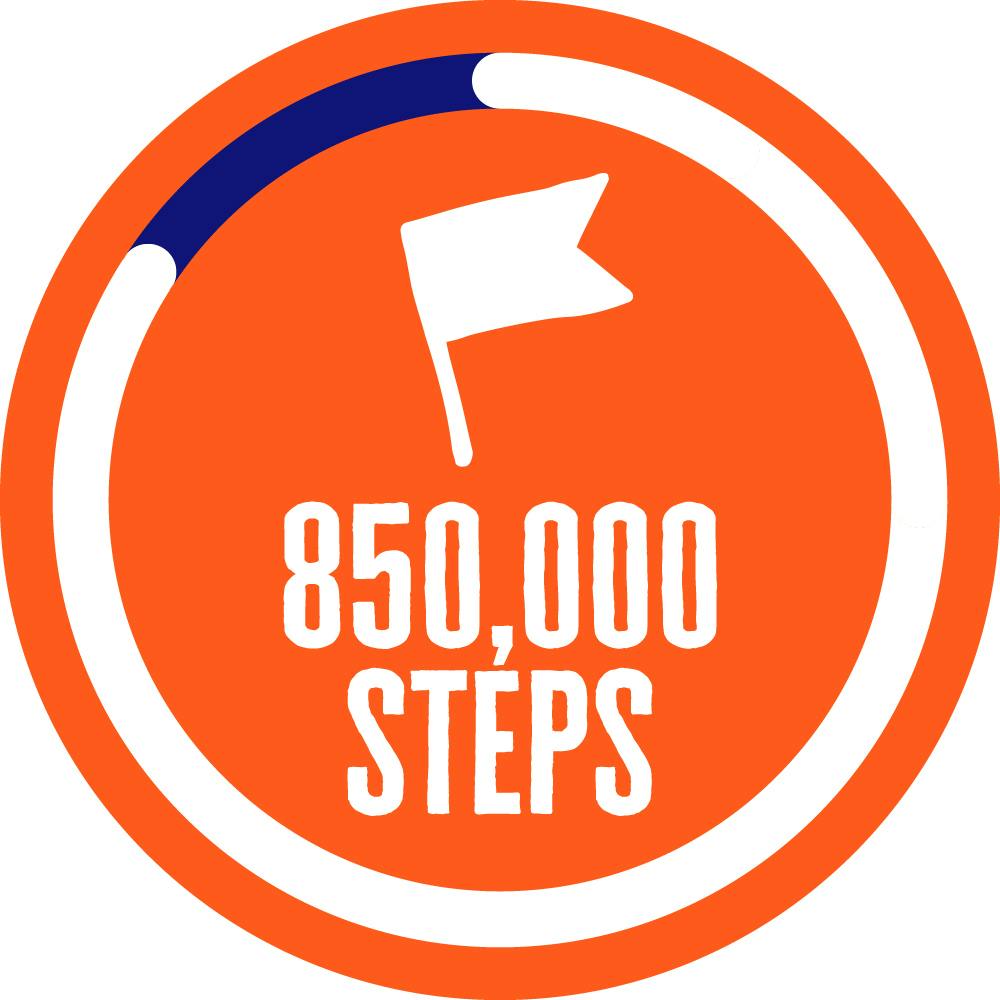850,000 Steps Badge