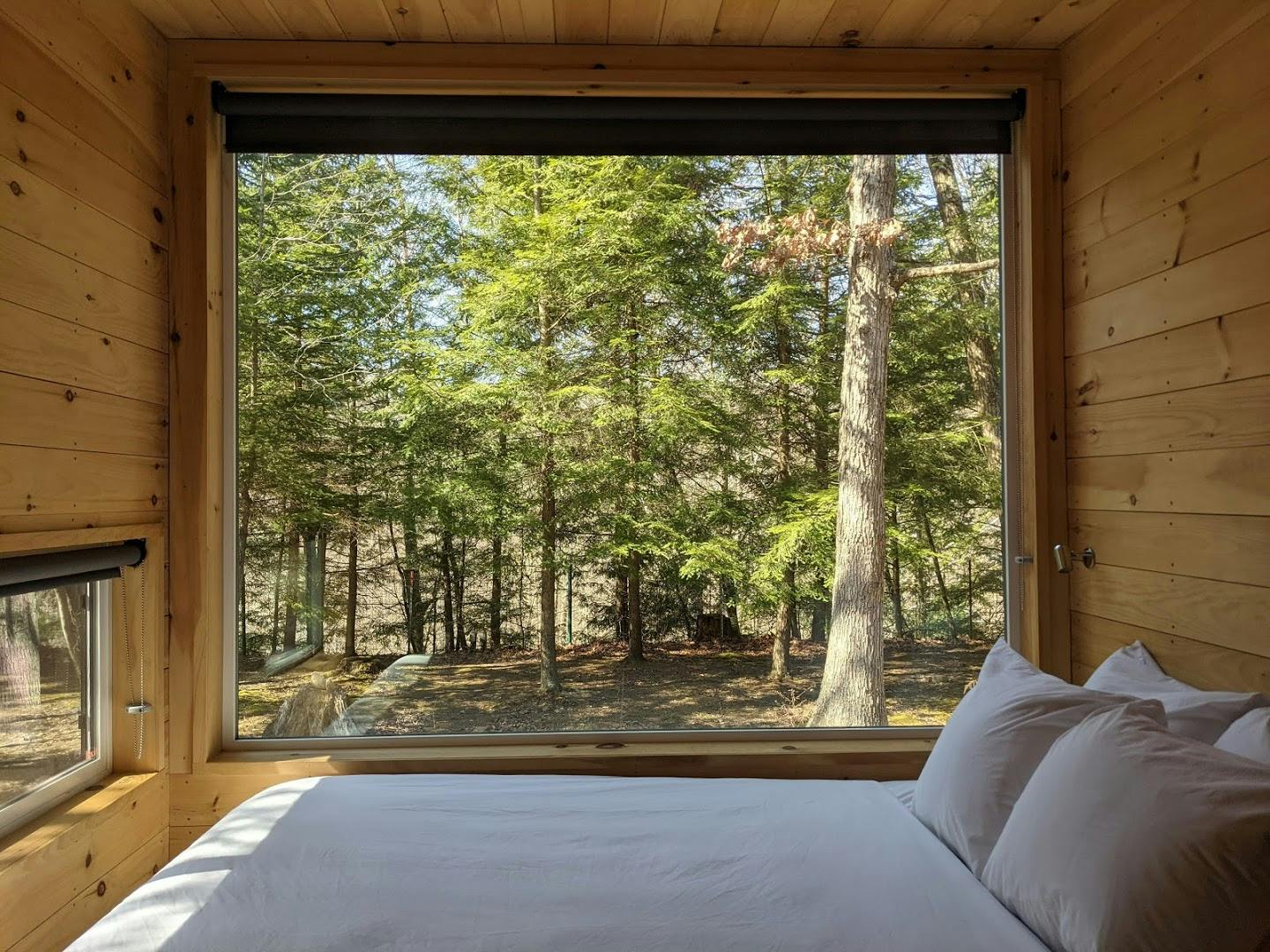 View from inside of the cabin
