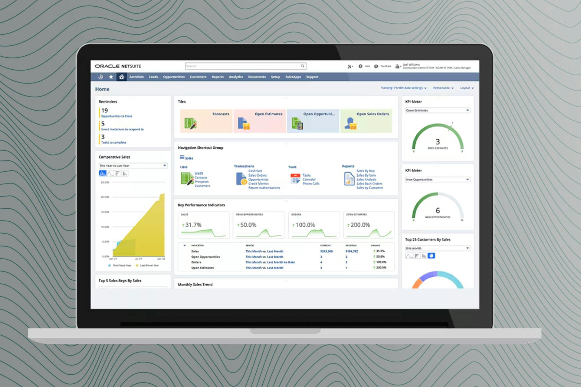 NetSuite SuiteAnalytics BI Cover