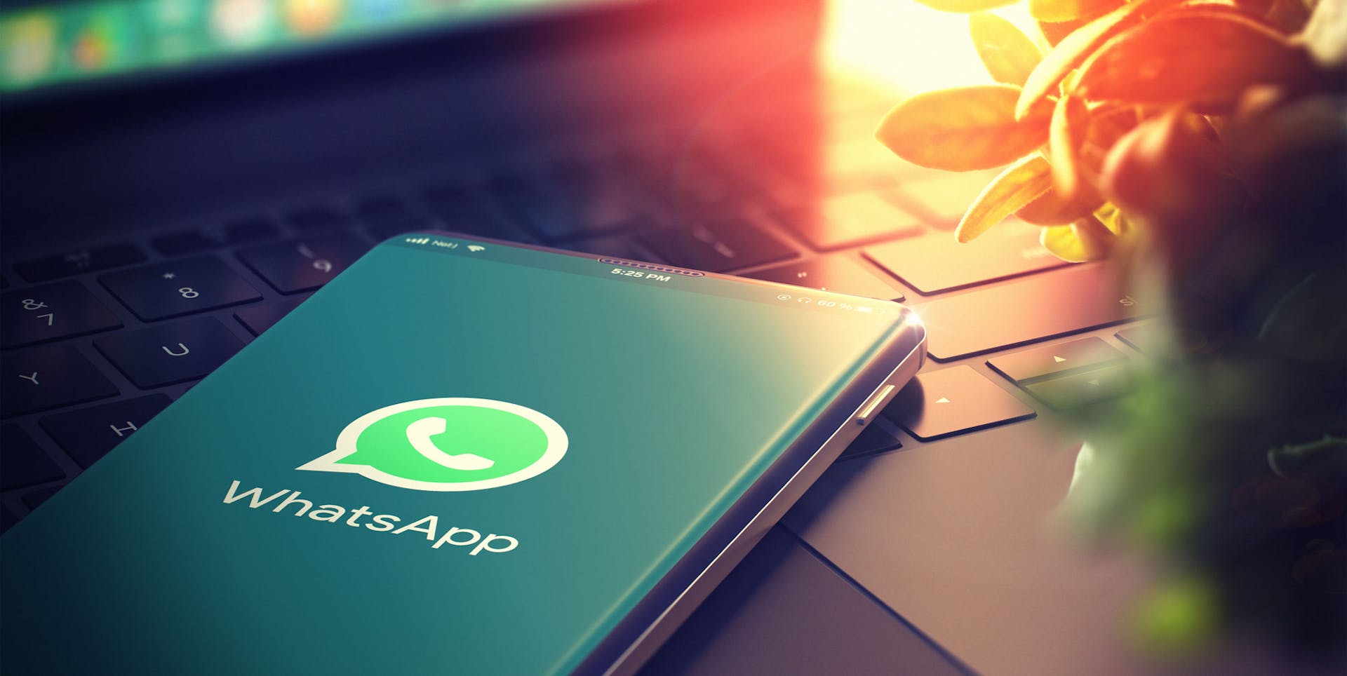 WhatsApp NetSuite