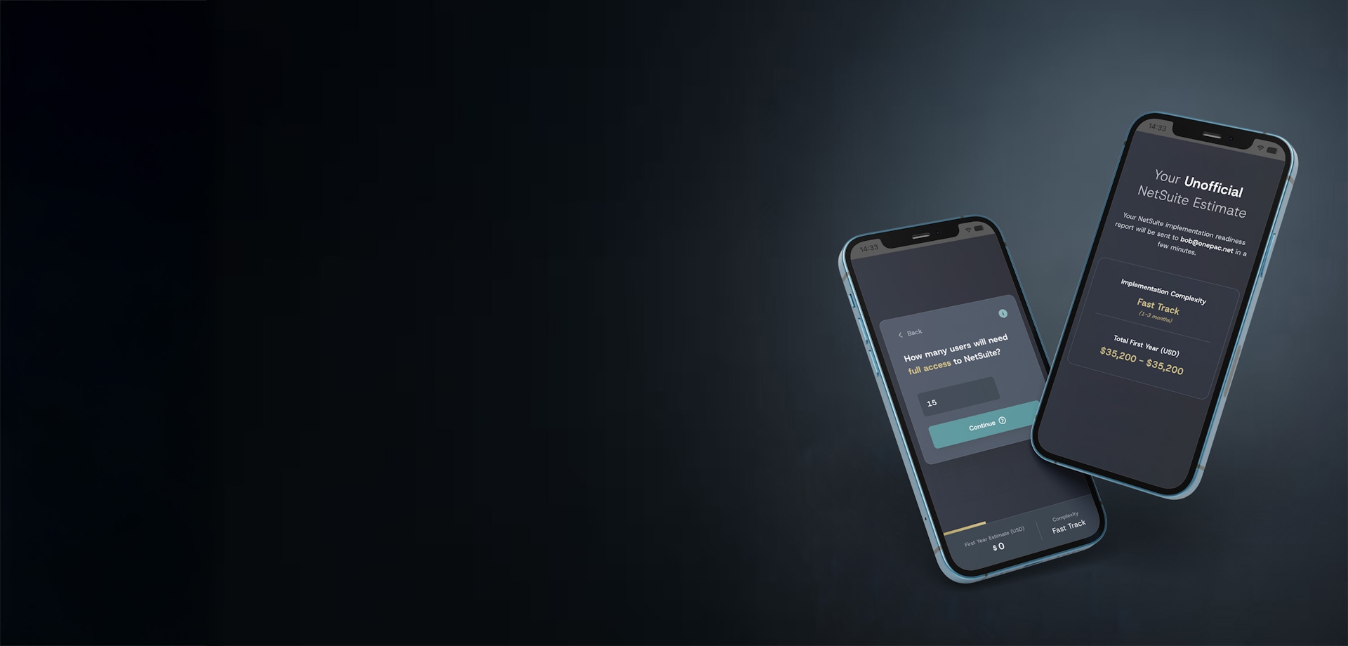 Netsuite Pricing Calculator