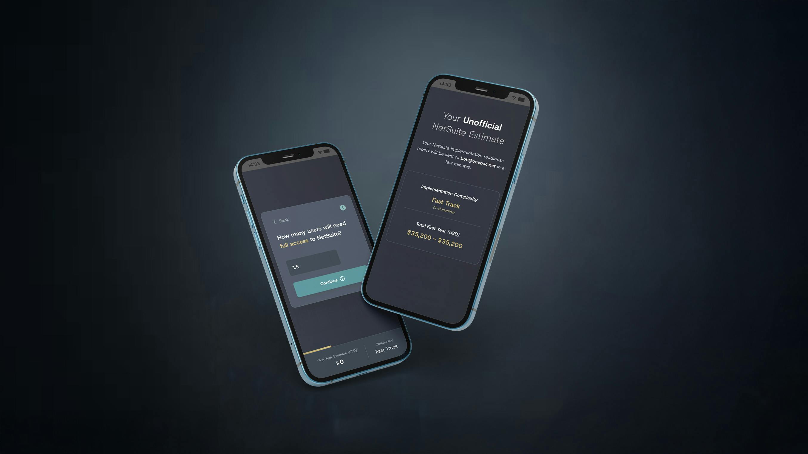 Netsuite Pricing Calculator