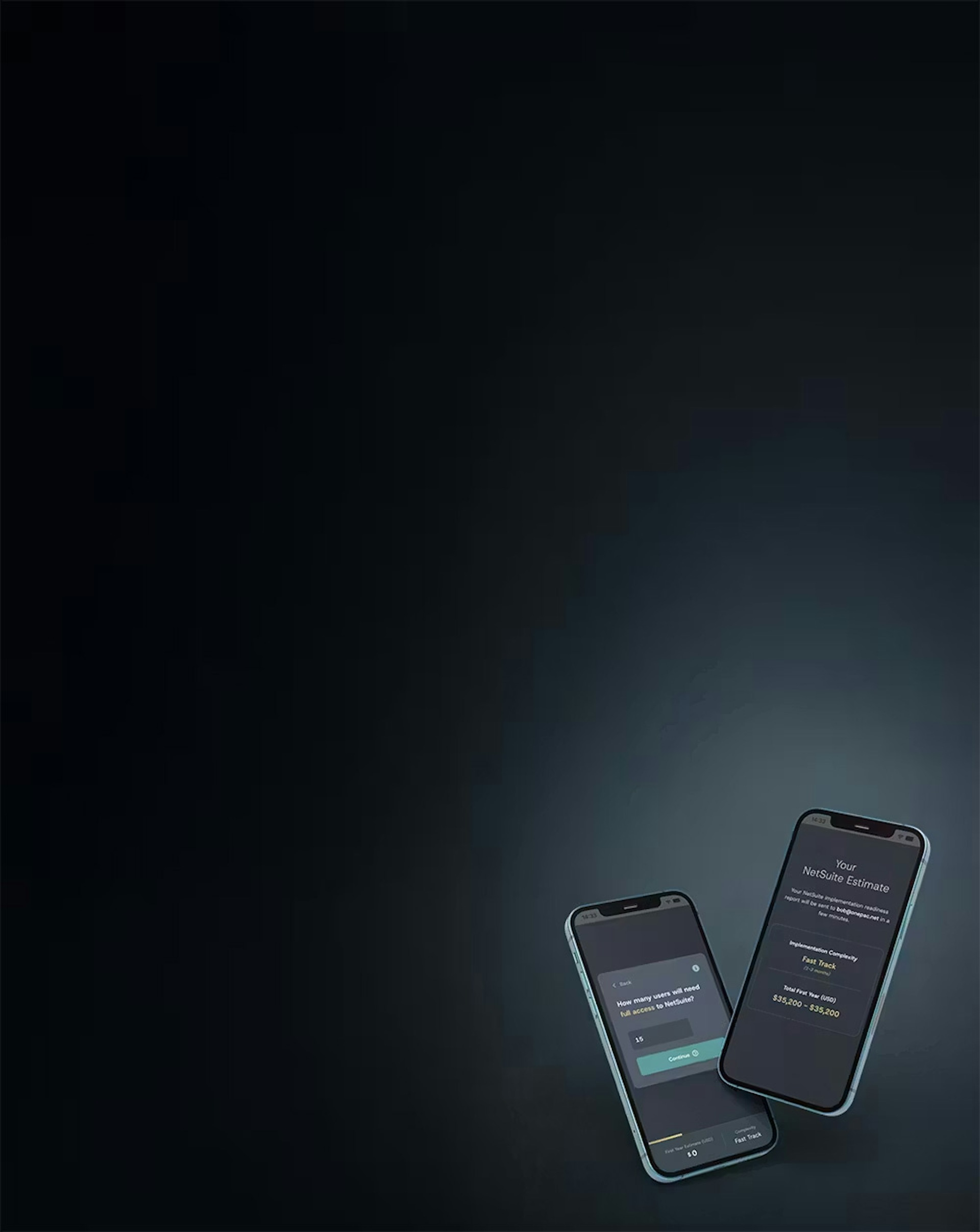 NetSuite Pricing Calculator