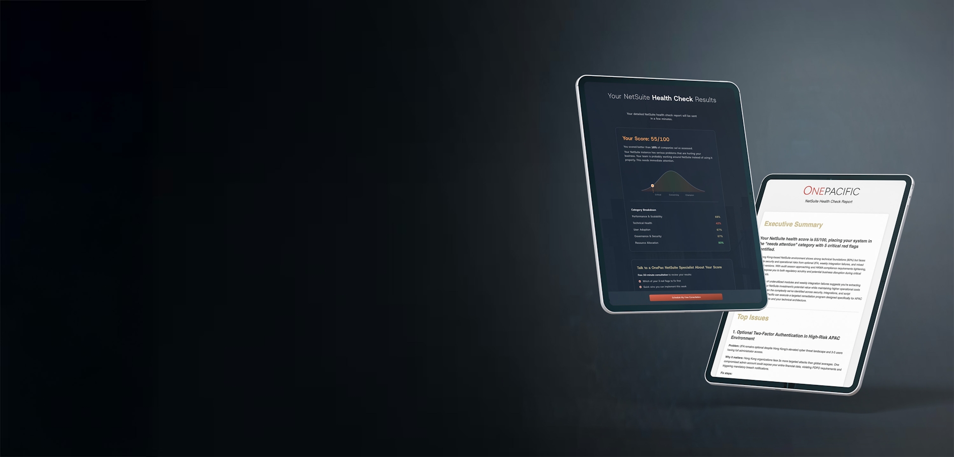 NetSuite 健康檢查